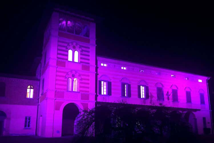 (Franciacorta in rosa per il Giro d'Italia Fra 101 giorni cronometro delle bollicine) (Franciacorta in rosa per il Giro d'Italia Fra 101 giorni cronometro delle bollicine)