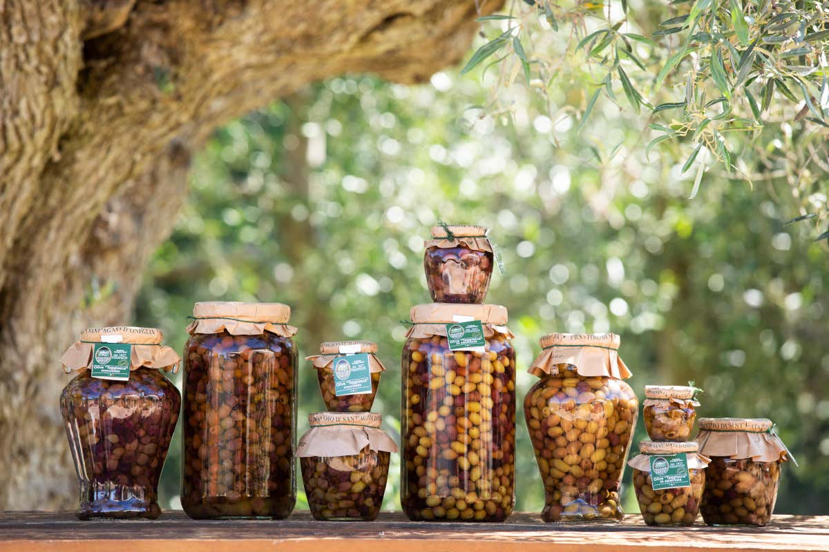 Barattoli di olive Il Frantoio di Sant'Agata d'Oneglia, meraviglia della Liguria di Ponente