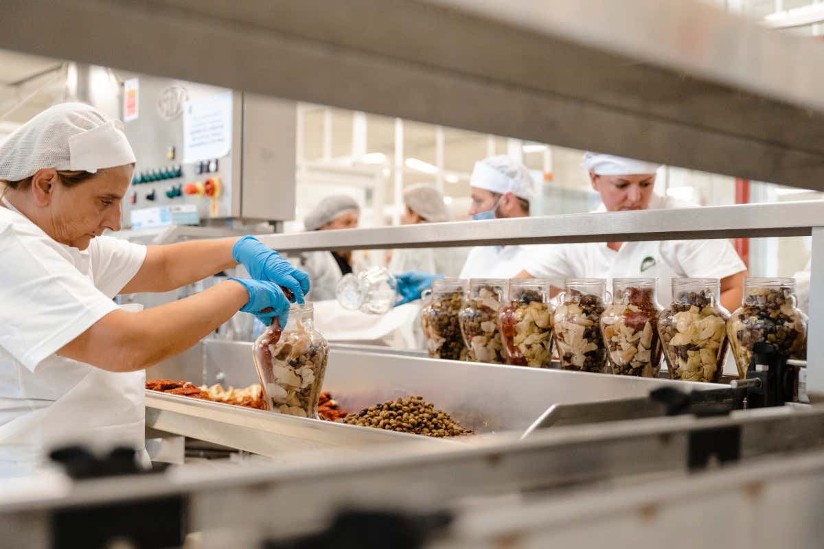 La preparazione delle conserve Il Frantoio di Sant'Agata d'Oneglia, meraviglia della Liguria di Ponente