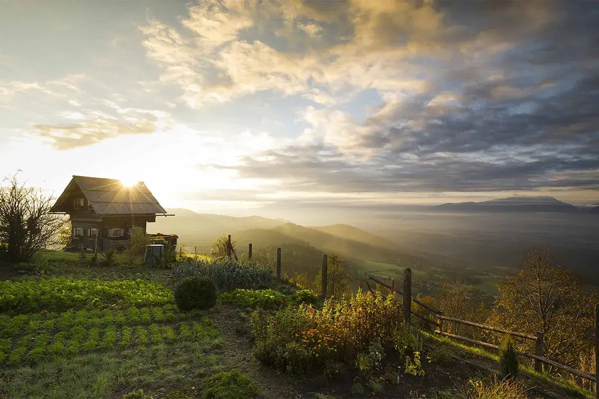 Alla scoperta della produzione agroalimentare locale - Foto FRanz Gerdl Alla scoperta della Carinzia Un&rsquo;estate dalle mille esperienze