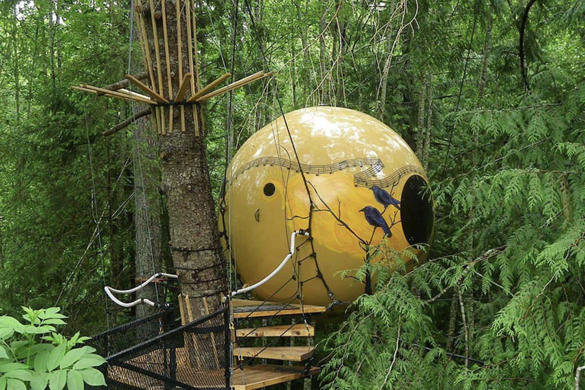 Grandi sfere del diametro di tre metri, sospese tra gli alberi della foresta pluviale Hotel futuristici e dove trovarli Grandi sfere del diametro di tre metri, sospese tra gli alberi della foresta pluviale Hotel futuristici e dove trovarli