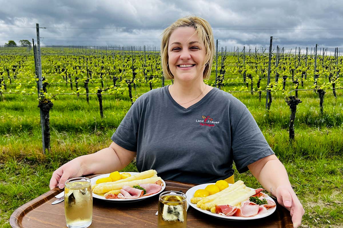Raccolta tra i vigneti: un gesto che racconta il legame tra agricoltura, territorio e tradizione gastronomica