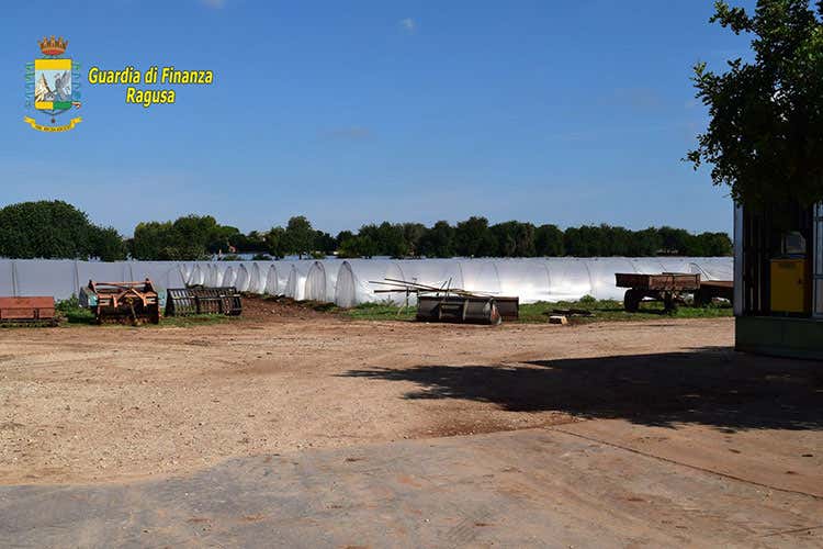 (Frutta e verdura spacciate per bio Nove imprenditori indagati in Sicilia)