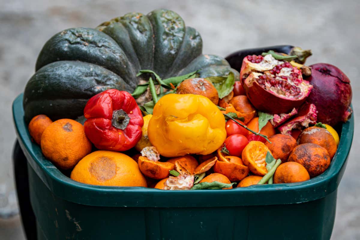 Non ci piace il cibo brutto, vogliamo che sia bello: così nasce lo spreco Spreco alimentare: bisogna fare di più. Anche nei ristoranti