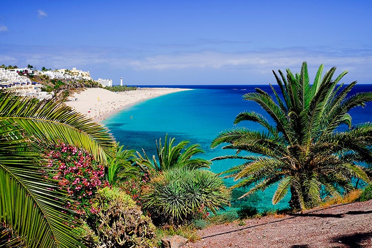 Fuerteventura - Canarie Covid free? Protocolli rigidi per una vacanza normale