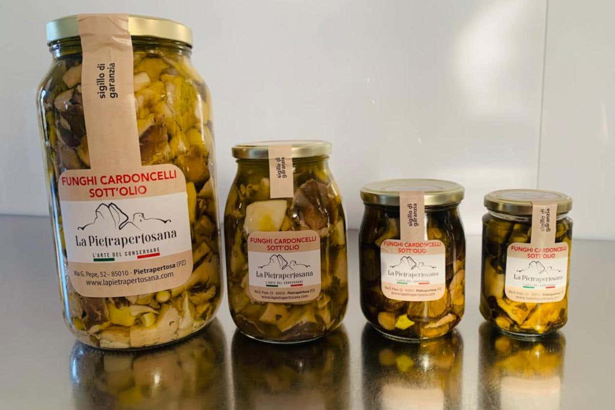 I funghi Cardoncelli sott'olio sono tra i prodotti offerti da La Pietrapertosana Le Dolomiti Lucane a tavola con Pietrapertosana
