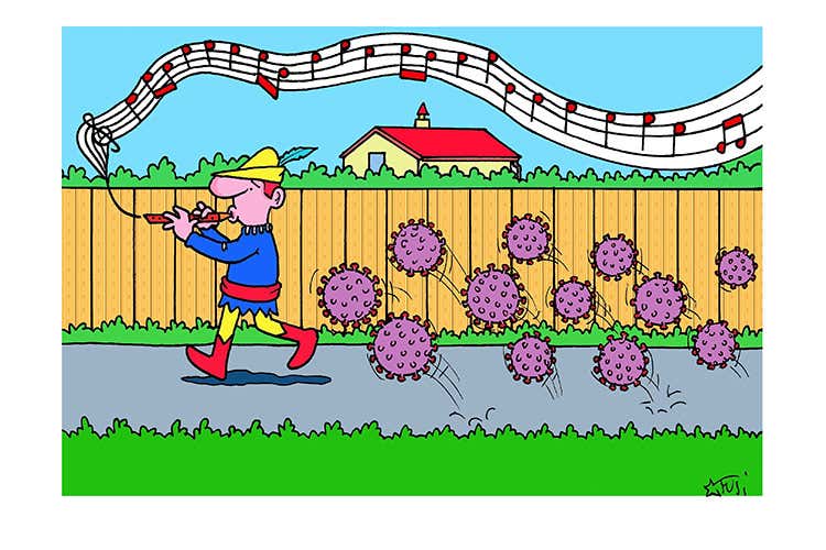 Marco Fusi Marco Fusi