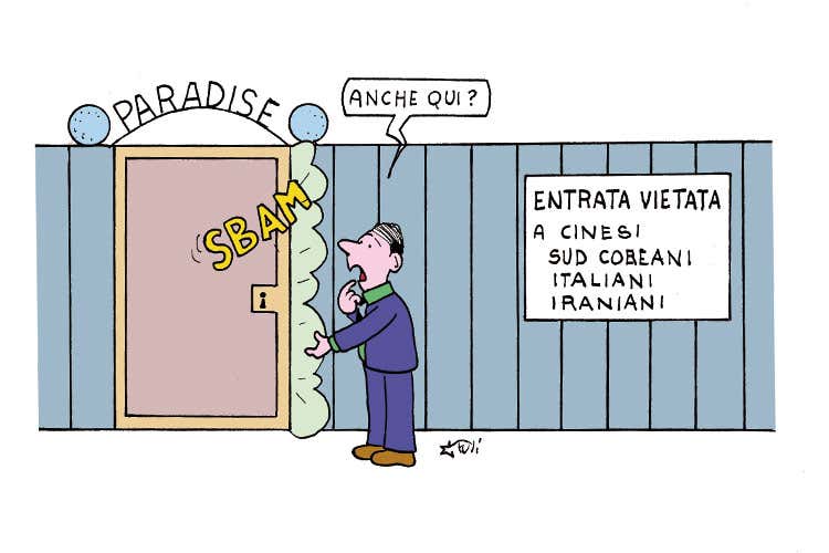 Marco Fusi Marco Fusi