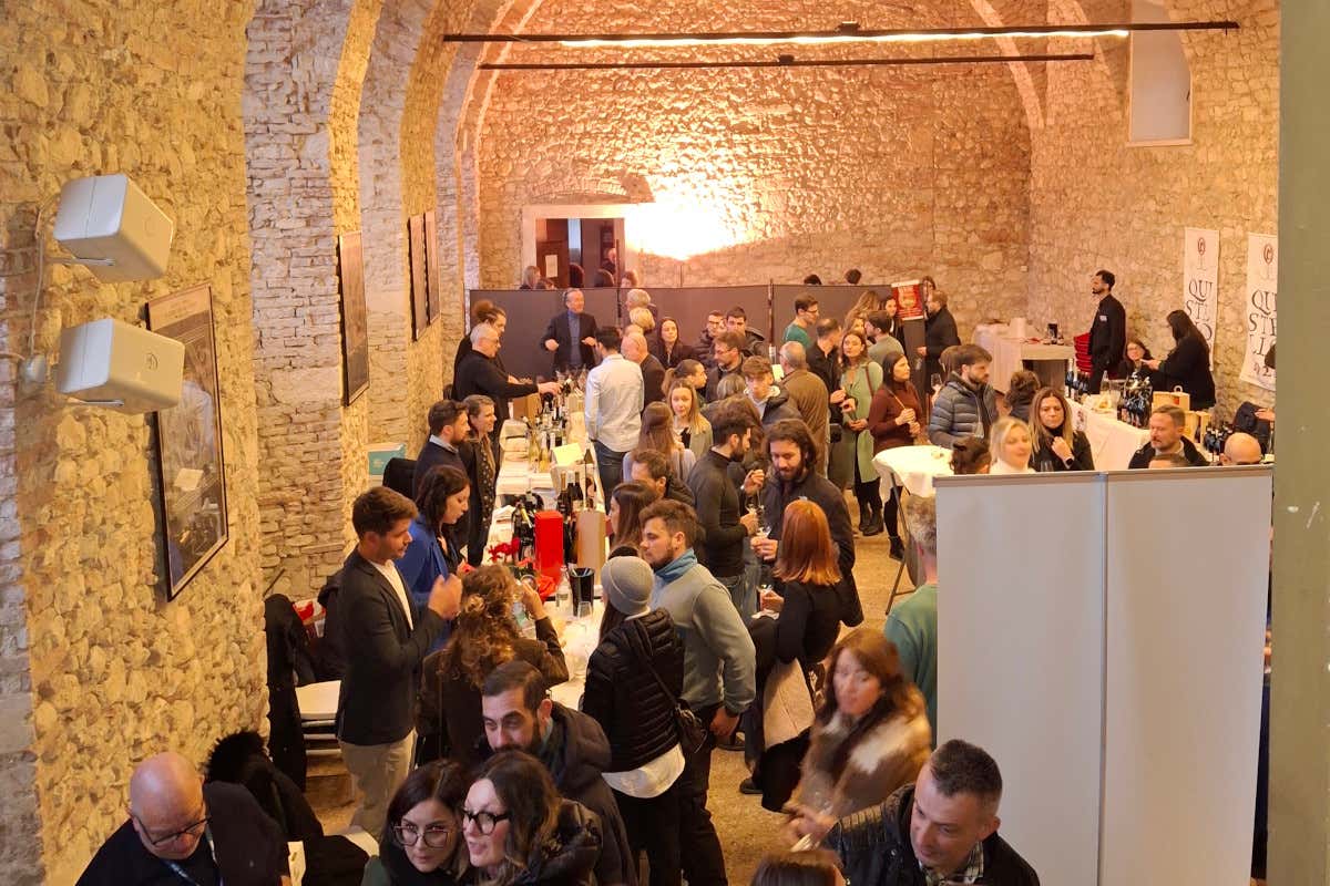 ReWine 2025, winter edition a Villa Arvedi: degustazioni e incontri con i produttori ReWine 2025, winter edition a Villa Arvedi: degustazioni e incontri con i produttori