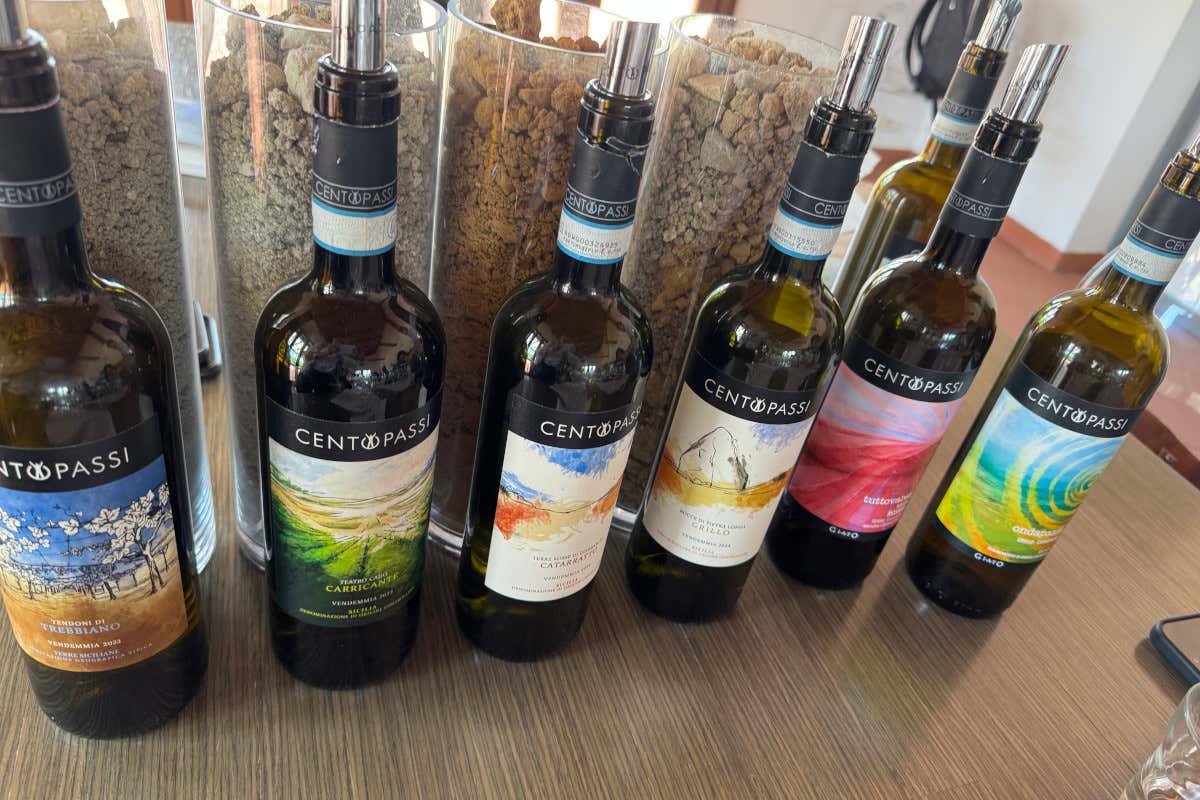 Dove c'era la mafia oggi nasce vino: la storia della cantina siciliana del riscatto
