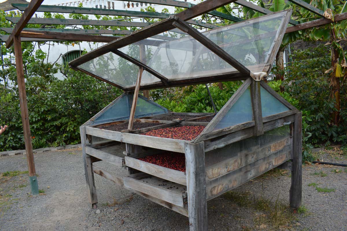 Gran Canaria segreta: itinerario tra arte, rum, natura e sapori locali
Gran Canaria segreta: itinerario tra arte, rum, natura e sapori locali