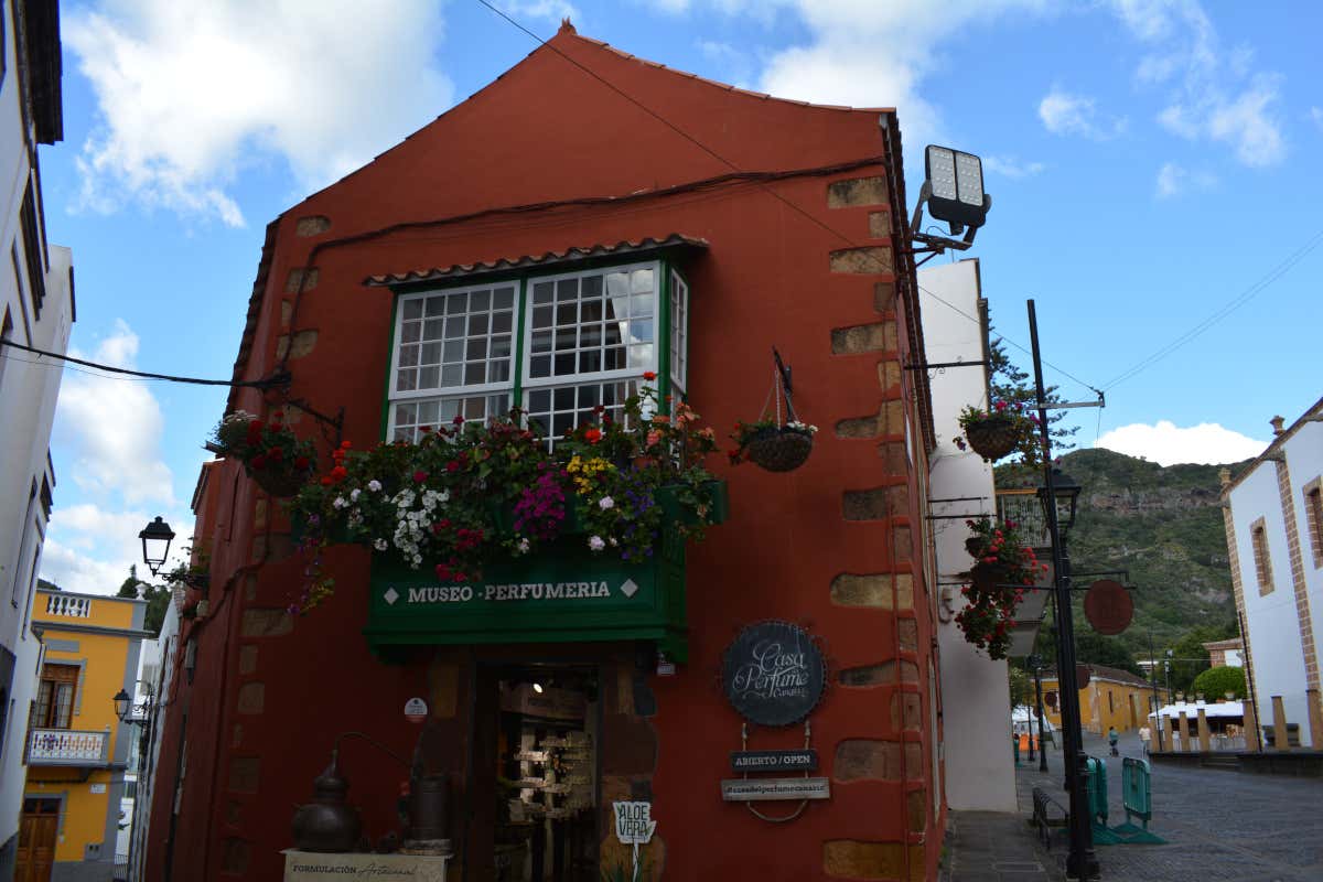 Gran Canaria segreta: itinerario tra arte, rum, natura e sapori locali
Gran Canaria segreta: itinerario tra arte, rum, natura e sapori locali