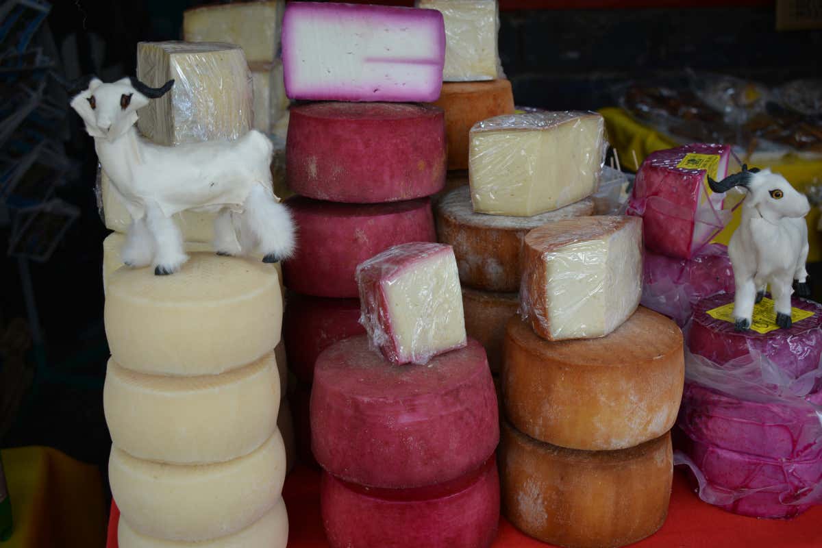 Gran Canaria segreta: itinerario tra arte, rum, natura e sapori locali