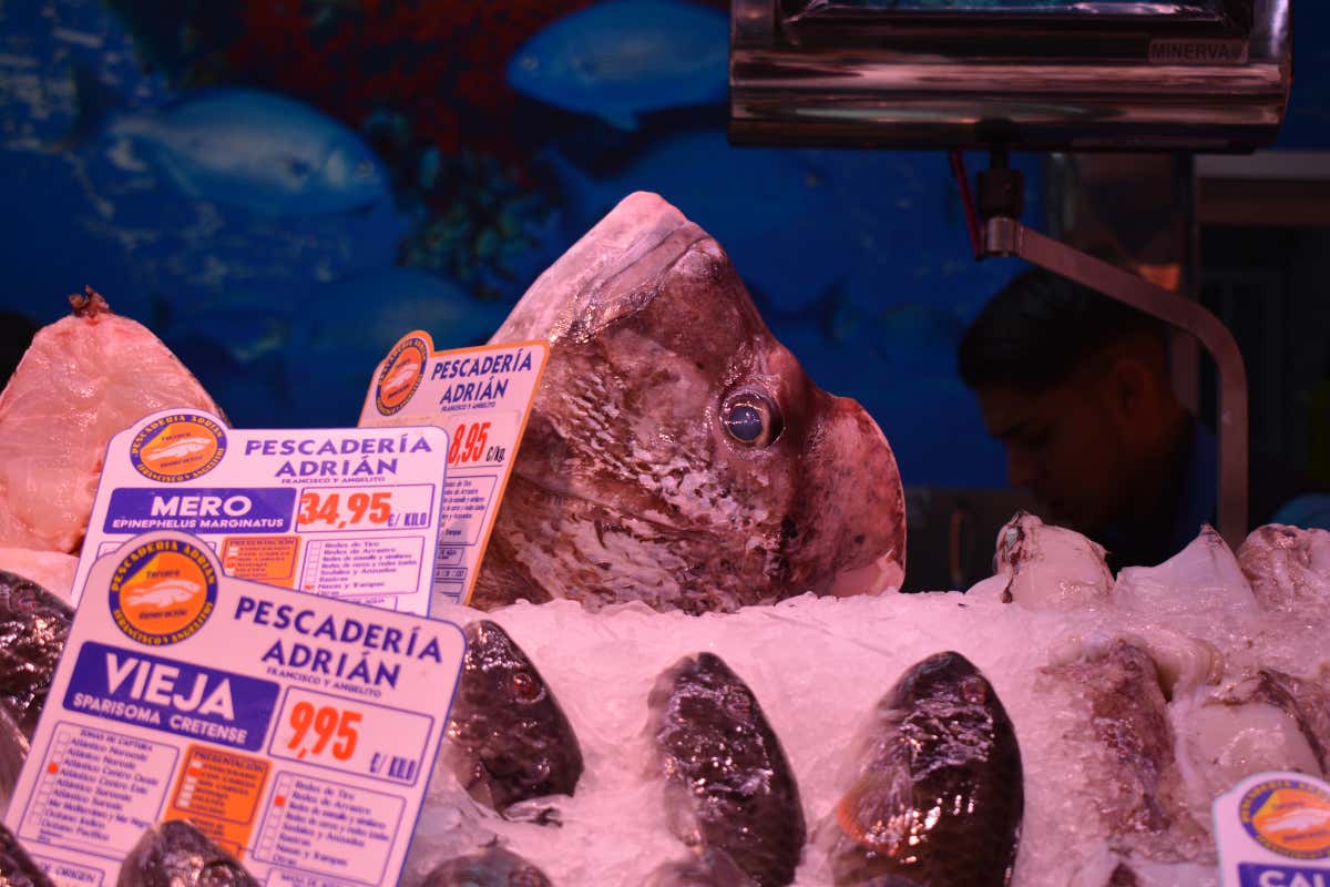 Gran Canaria segreta: itinerario tra arte, rum, natura e sapori locali