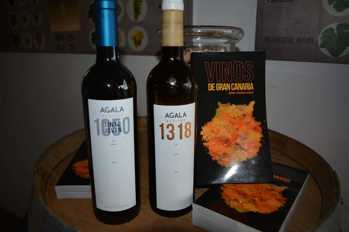 Gran Canaria segreta: itinerario tra arte, rum, natura e sapori locali
Gran Canaria segreta: itinerario tra arte, rum, natura e sapori locali