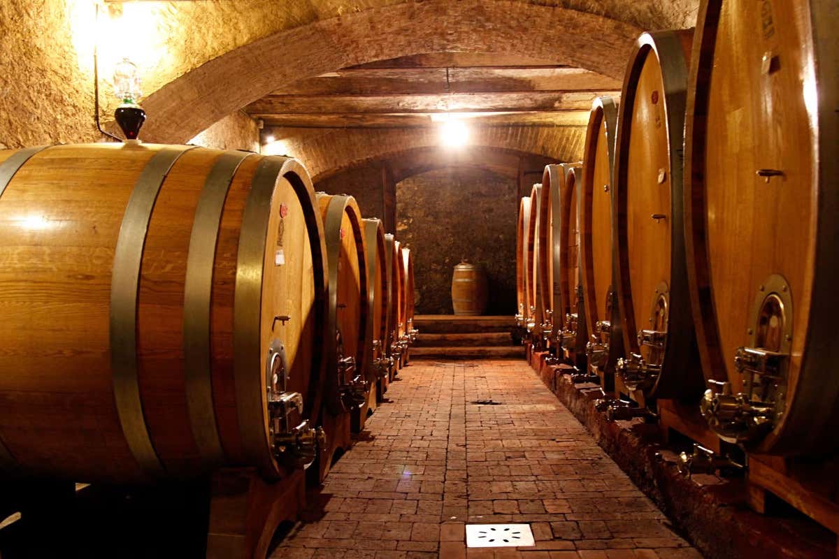 La “non-degustazione” che ribalta il vino: il metodo di Marinella Camerani La “non-degustazione” che ribalta il vino: il metodo di Marinella Camerani