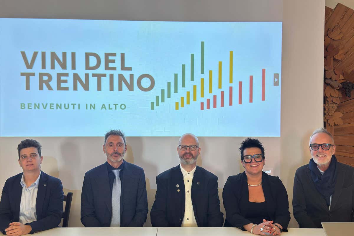 La presentazione del nuovo progetto di comunicazione del Consorzio vini del Trentino Dal foglio di vite alla pergola: come cambia l’identità (e il logo) dei vini trentini