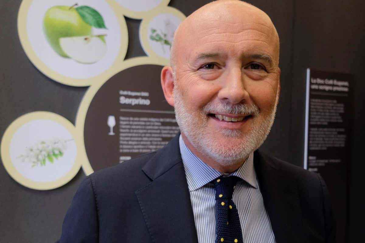 Colli Euganei, Gianluca Carraro confermato alla guida del Consorzio