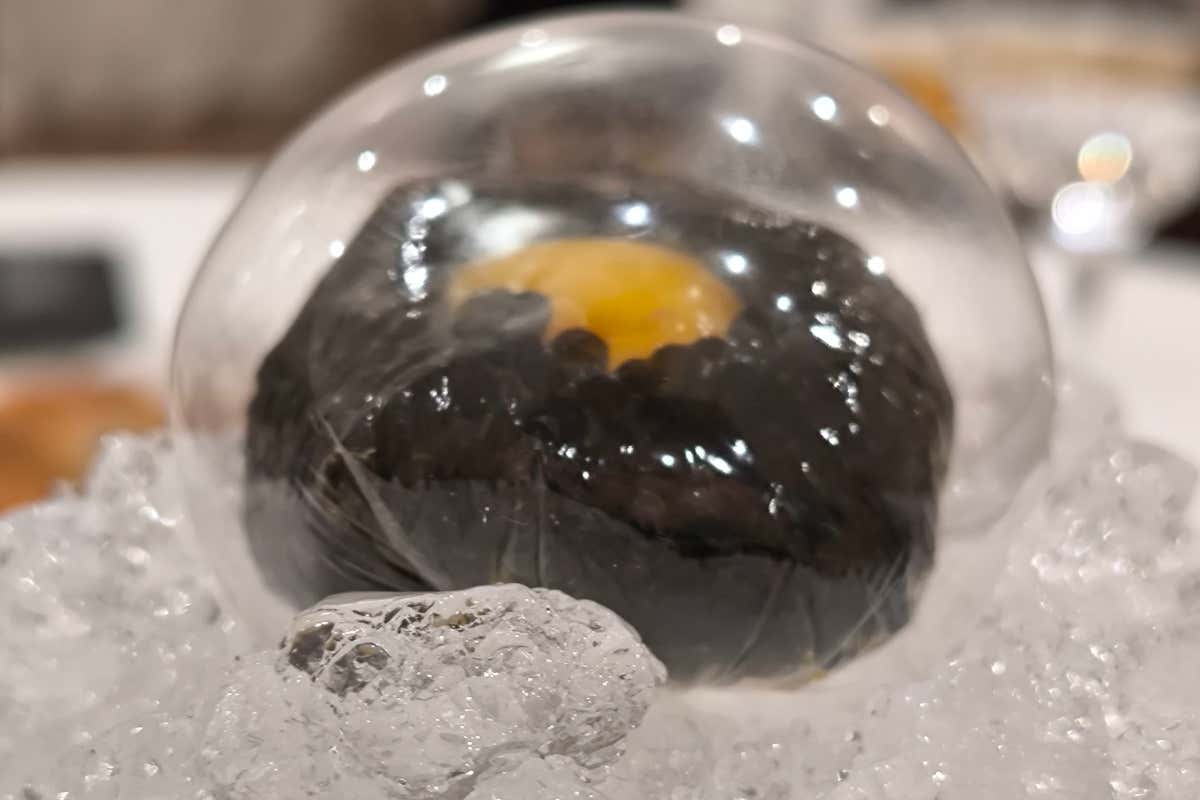 Ristorante Carignano: un Viaggio gastronomico tra storia, futuro e avanguardia