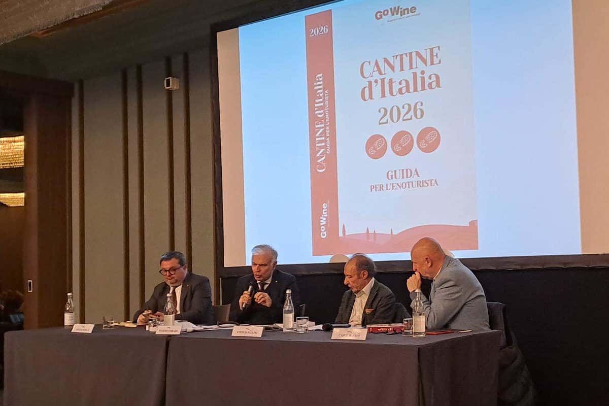 Cantine d’Italia: 5.180 vini nella guida per l’enoturista 2026