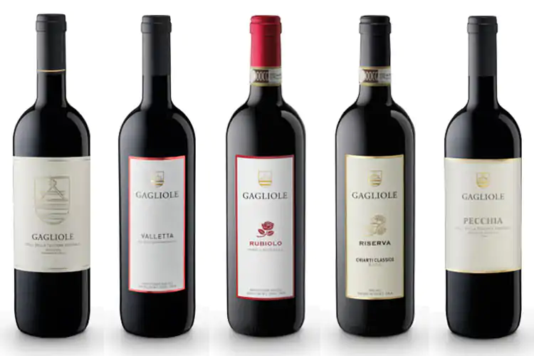 Gagliole, terroir unico fra Castellina in Chianti e Panzano