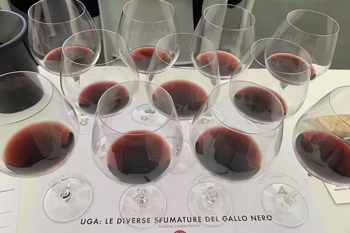 Expo Chianti classico torna a settembre a Greve