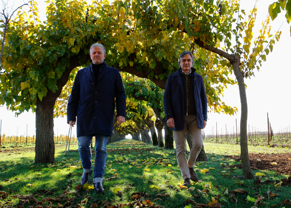Dall'economia circolare nasce la Ribolla gialla spumante brut