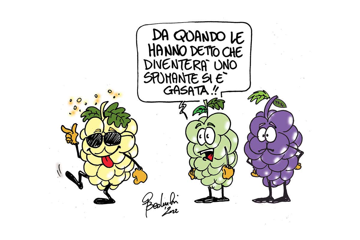 Ad ognuno la sua tipologia di vino Le bollicine non sono per tutti