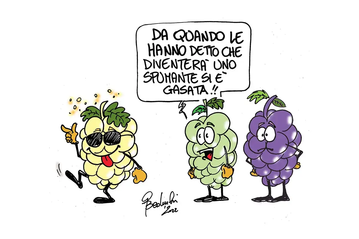 Ad ognuno la sua tipologia di vino Le bollicine non sono per tutti