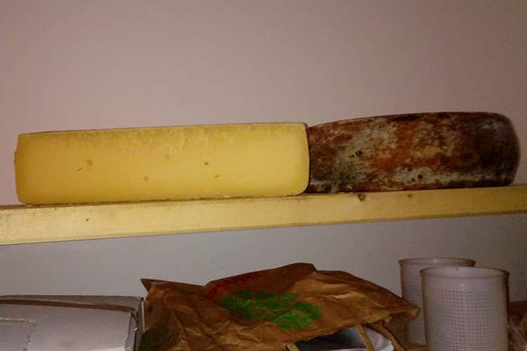 (Germano Eggiolini, l'ultimo dei casari Uno dei pochi a produrre il Tombea) (Germano Eggiolini, l'ultimo dei casari Uno dei pochi a produrre il Tombea)