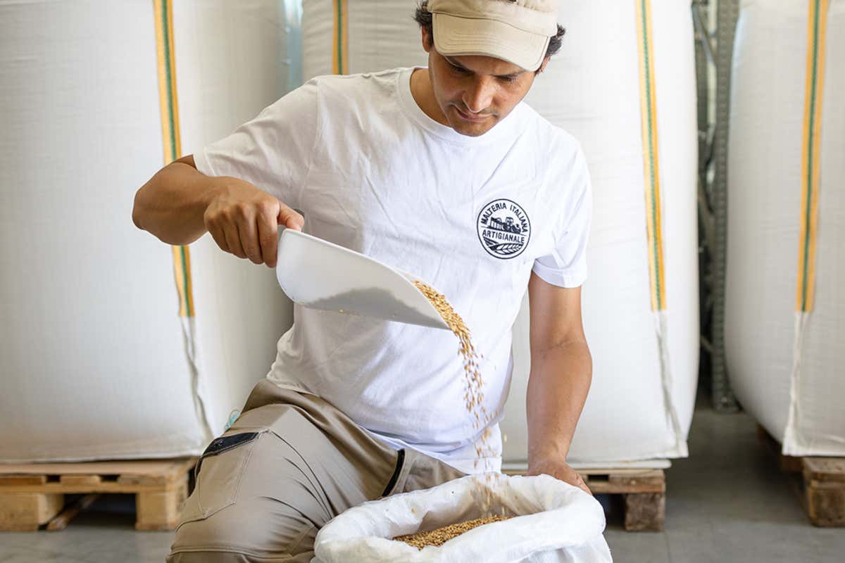 Il miglior malto “Pale” cresce in Umbria: medaglia d'oro alla Malt Cup