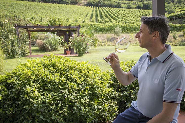 Gianni Tessari e il Monte Duello &laquo;Il vino legato alle mie origini&raquo;