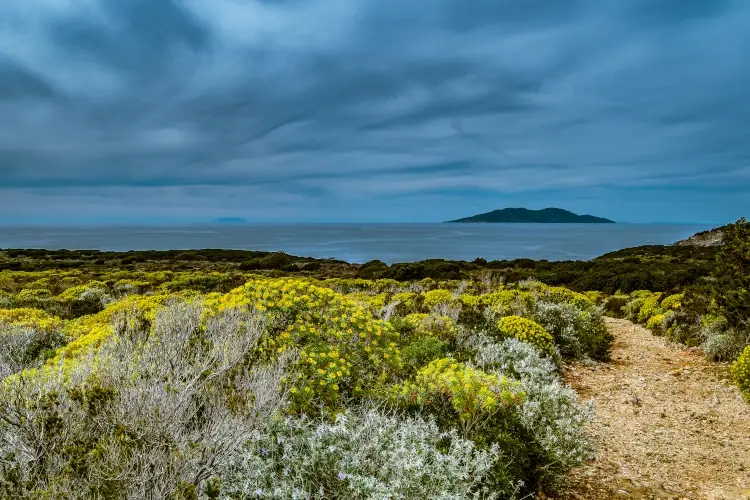 Arcipelago toscano tutto da scoprire e vivere