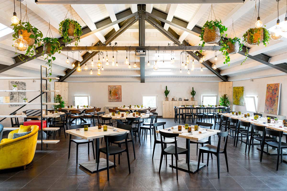 Un viaggio nel tempo: le suggestive città murate di Monselice, Este e Montagnana