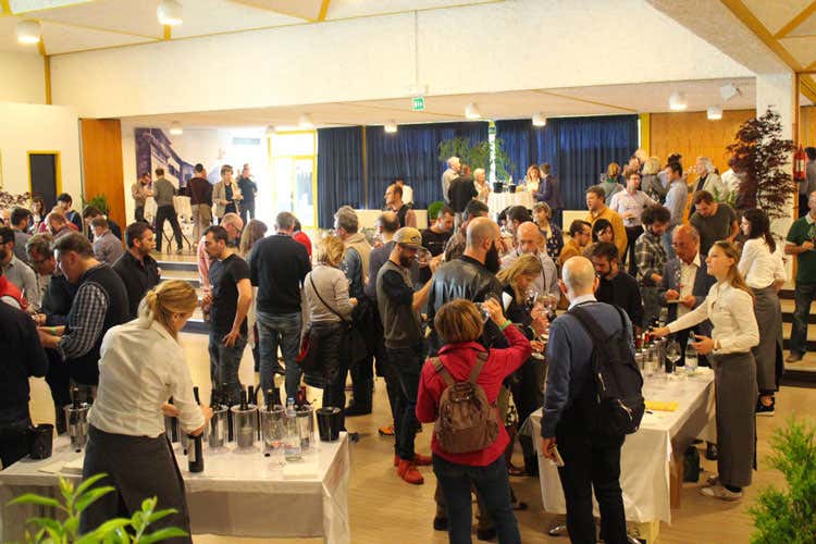 (Giornate del Pinot Nero a Bolzano Una sfida sull’annata 2014) (Giornate del Pinot Nero a Bolzano Una sfida sull’annata 2014)