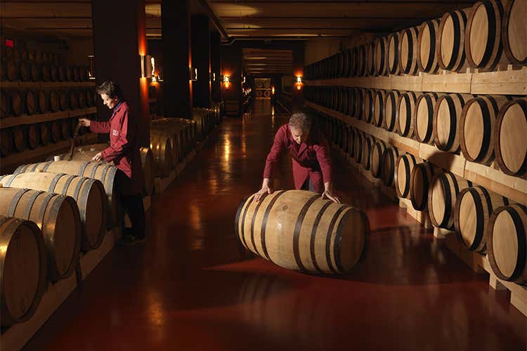 Giri di Vite Nelle distillerie storiche Poli e Da Ponte