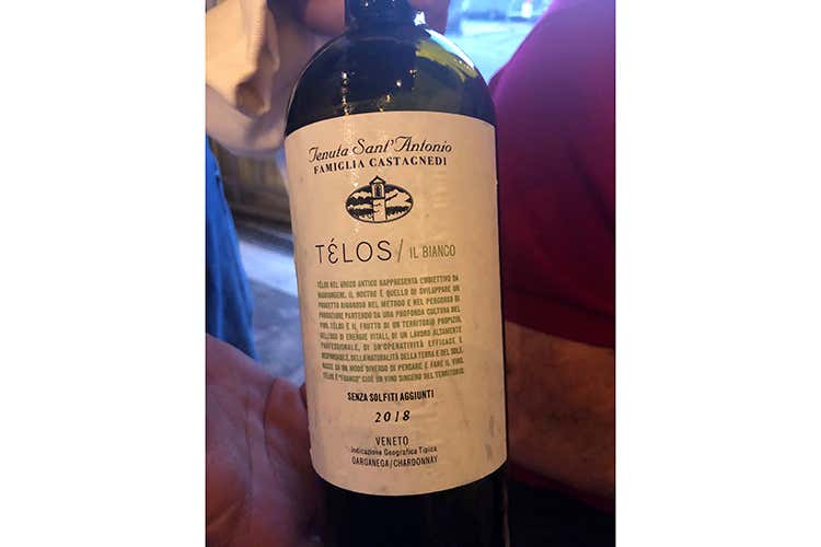 Tèlos bianco 2018 (Giri di Vite La filosofia di Tenuta Sant'Antonio)