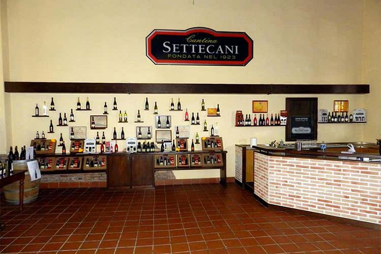 (Giri di vite Lambrusco Bio Settecani e la sostenibilità) (Giri di vite Lambrusco Bio Settecani e la sostenibilità)