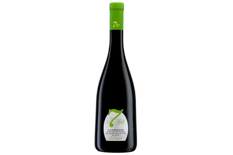 (Giri di vite Lambrusco Bio Settecani e la sostenibilità) (Giri di vite Lambrusco Bio Settecani e la sostenibilità)