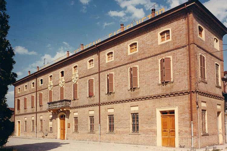(Giri di vite Lambrusco Bio Settecani e la sostenibilità) (Giri di vite Lambrusco Bio Settecani e la sostenibilità)