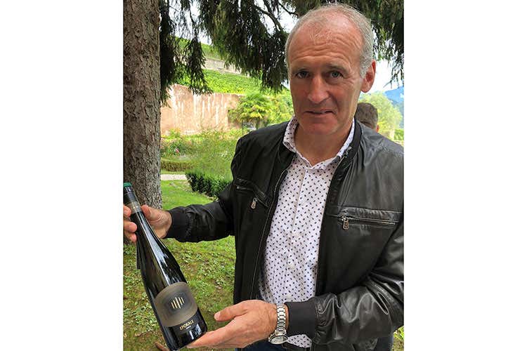 Willy Sturz (Giri di viteL’autenticità del Gewürztraminer) Willy Sturz (Giri di viteL’autenticità del Gewürztraminer)