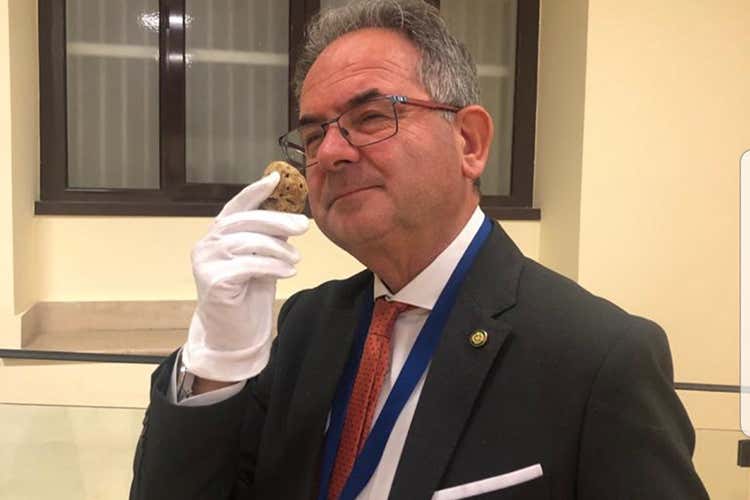Giuseppe Cristini - Tartufo bianco delle Marche Si punta alle fiere fino a Natale