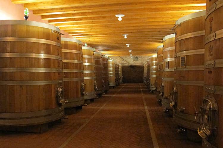 Gli otto crus dell'annata 2013 100 anni di Barolo per Sordo Giovanni