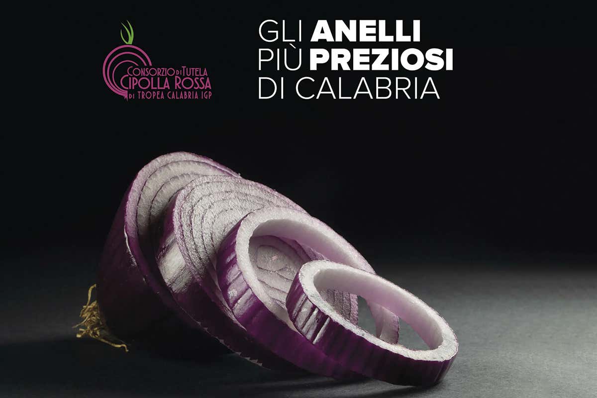 Gli anelli più preziosi di Calabria, la Cipolla di Tropea in un libro unico Gli anelli più preziosi di Calabria, la Cipolla di Tropea in un libro unico