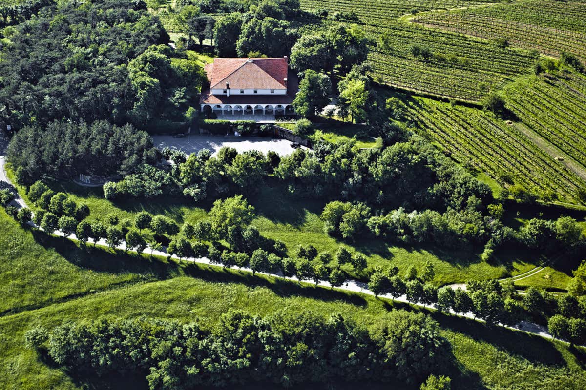 Gostilna Pri Lojzetu, nei piatti l’amore per la Valle del Vipava
