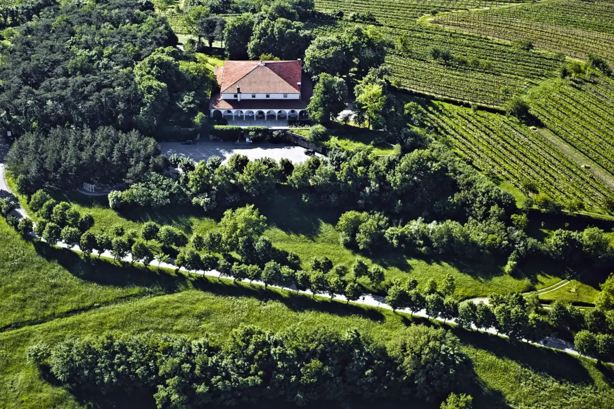 Gostilna Pri Lojzetu, nei piatti l’amore per la Valle del Vipava