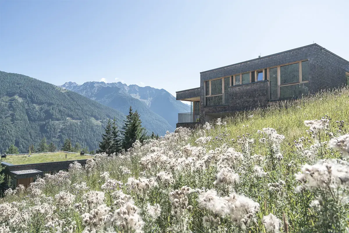 41 gli chalet nel bosco offerti dalla struttura ai suoi ospiti