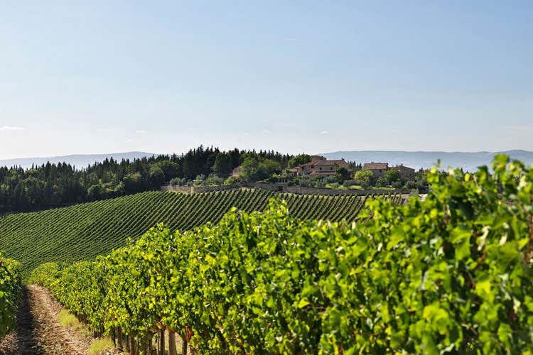 (Gran Selezione Romitorio di Santedame Ruffino lancia un Chianti Classico top) (Gran Selezione Romitorio di Santedame Ruffino lancia un Chianti Classico top)