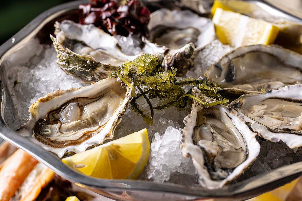 Nomina al Roma Luxus Hotel: dove la cucina ti sorprende e non si prende troppo sul serio