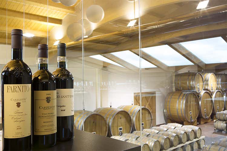 Grandi Vini Carpineto, le eccellenze della Toscana maturano in famiglia